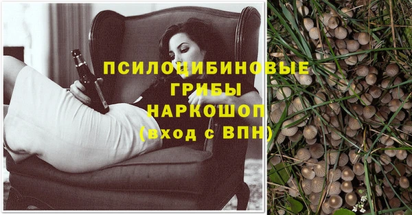 стафф Армянск
