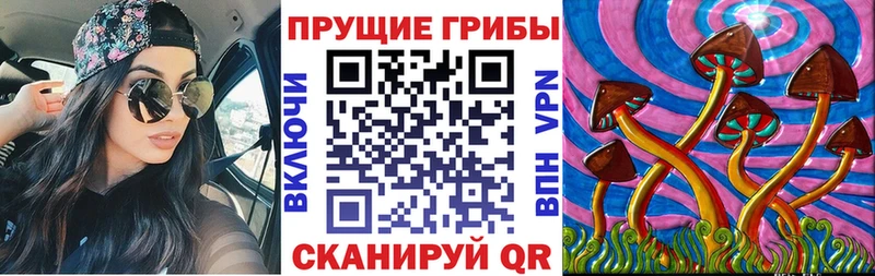 Псилоцибиновые грибы прущие грибы  Темрюк 
